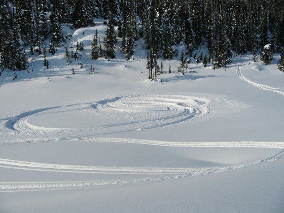 576x432 pixels (68K)